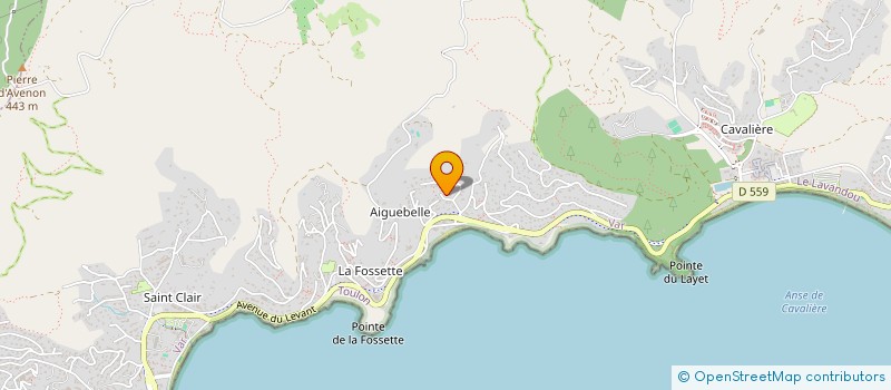 localisation de l'entreprise MONSIEUR MATHIEU GUILLARD à LE LAVANDOU