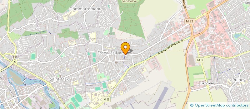 localisation de l'entreprise MONSIEUR MATHIEU HUYSENTRUYT  ESSEY-LES-NANCY