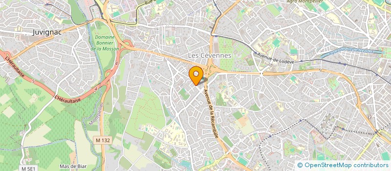 localisation de l'entreprise MONSIEUR MATHIEU JOURDAN  MONTPELLIER