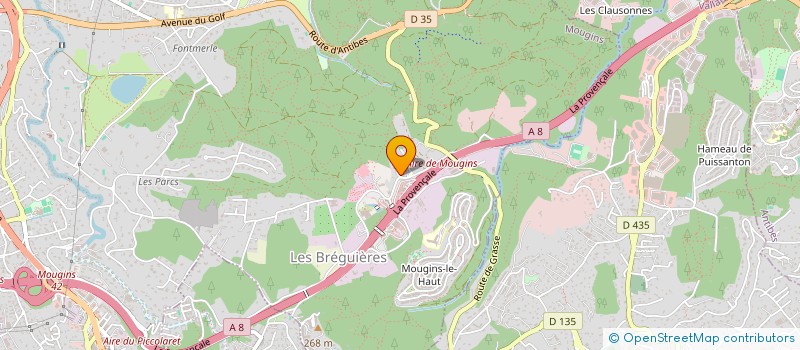 localisation de l'entreprise MONSIEUR MATHIEU LAFLEUR  MOUGINS