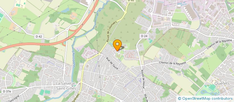 localisation de l'entreprise MONSIEUR MATHIEU LEDDA  PLAISANCE-DU-TOUCH