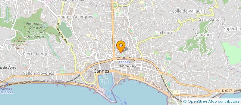 localisation de l'entreprise MONSIEUR MATHIEU LELOUP  CANNES