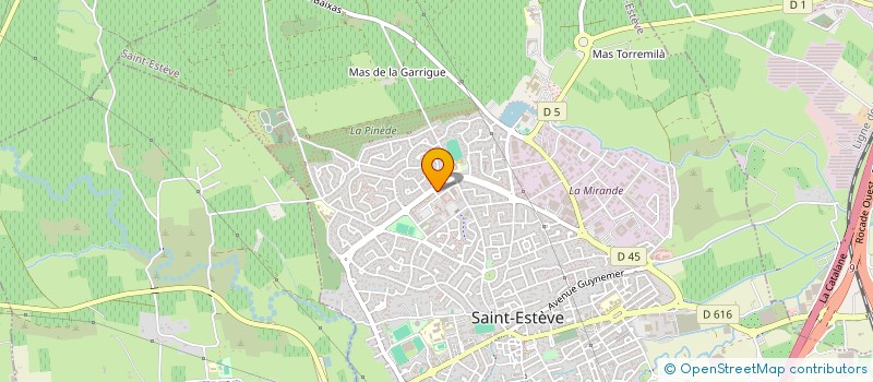 localisation de l'entreprise MONSIEUR MATHIEU LEPORI à SAINT-ESTEVE