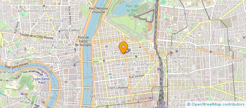 localisation de l'entreprise MONSIEUR MATHIEU LOISON  LYON