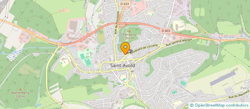 localisation de l'entreprise MONSIEUR MATHIEU MALMONTE  SAINT-AVOLD