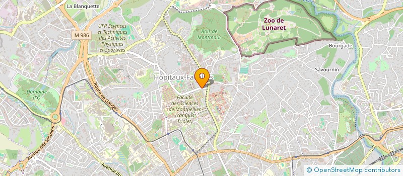 localisation de l'entreprise MONSIEUR MATHIEU MENEBOO à MONTPELLIER