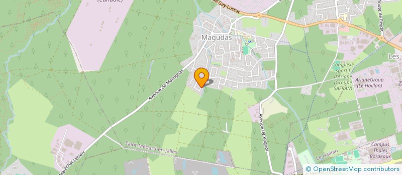 localisation de l'entreprise MONSIEUR MATHIEU MOLINIER  SAINT-MEDARD-EN-JALLES