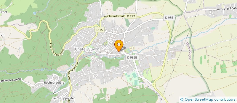 localisation de l'entreprise MONSIEUR MATHIEU MONTAGNER  CHATEL-GUYON