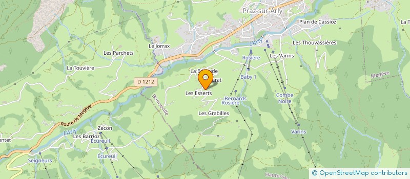 localisation de l'entreprise MONSIEUR MATHIEU MORAND à PRAZ-SUR-ARLY