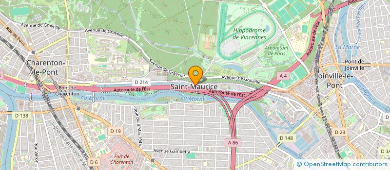 localisation de l'entreprise MONSIEUR MATHIEU NEJADE  SAINT-MAURICE