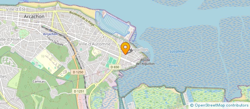 localisation de l'entreprise MONSIEUR MATHIEU REMY  ARCACHON