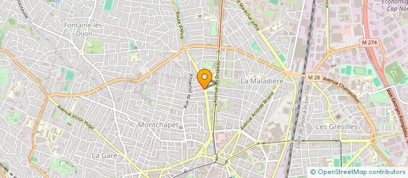 localisation de l'entreprise MONSIEUR MATHIEU RODOT  DIJON