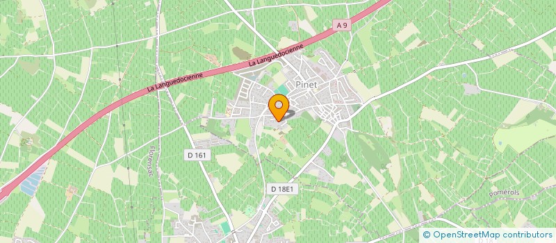 localisation de l'entreprise MONSIEUR MATHIEU ROGI  PINET