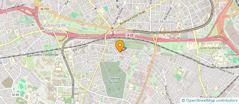 localisation de l'entreprise MONSIEUR MATHIEU ROUBLAIN  LILLE