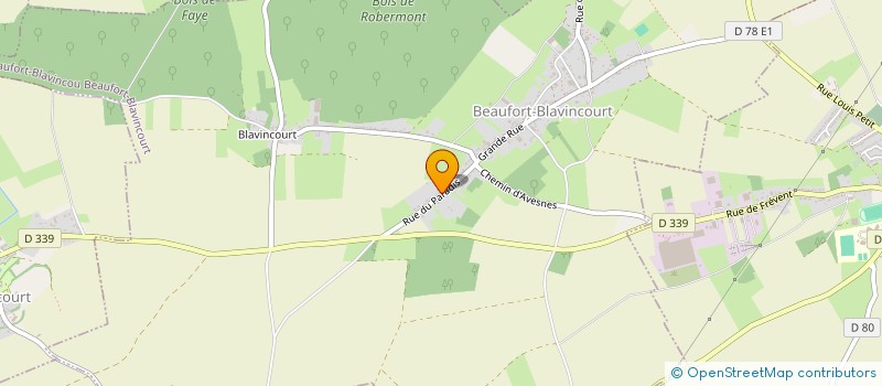 localisation de l'entreprise MONSIEUR MATHIEU ROUSSEL  BEAUFORT-BLAVINCOURT