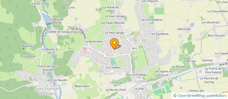 localisation de l'entreprise MONSIEUR MATHIEU SAINT-FIRMIN  LUYNES