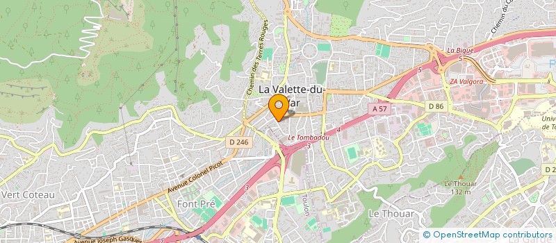 localisation de l'entreprise MONSIEUR MATHIEU SALVARELLI  LA VALETTE-DU-VAR