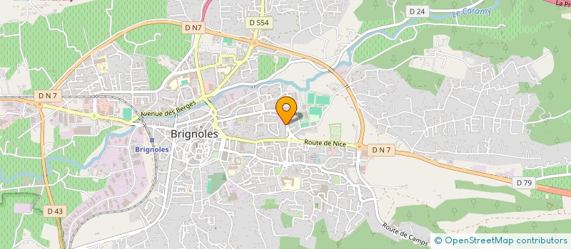 localisation de l'entreprise MONSIEUR MATHIEU SANCHIS à BRIGNOLES