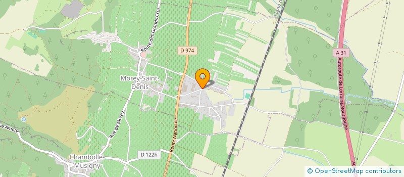 localisation de l'entreprise MONSIEUR MATHIEU SCHMITT à MOREY-SAINT-DENIS