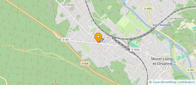 localisation de l'entreprise MONSIEUR MATHIEU SONG-NABA  MORET-LOING-ET-ORVANNE