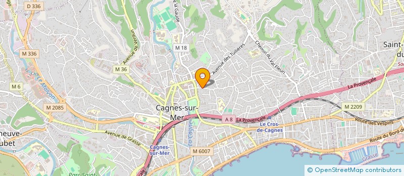 localisation de l'entreprise MONSIEUR MATHIEU SOULARD à CAGNES-SUR-MER
