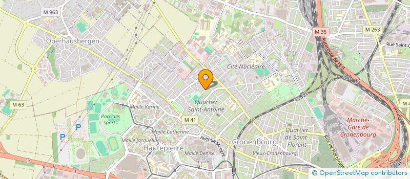 localisation de l'entreprise MONSIEUR MATHIEU STEINMETZ  STRASBOURG