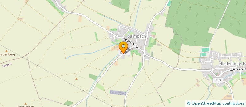 localisation de l'entreprise MONSIEUR MATHIEU STRASSER  SALMBACH