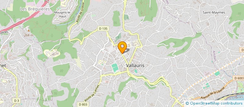 localisation de l'entreprise MONSIEUR MATHIEU SURCIN  VALLAURIS