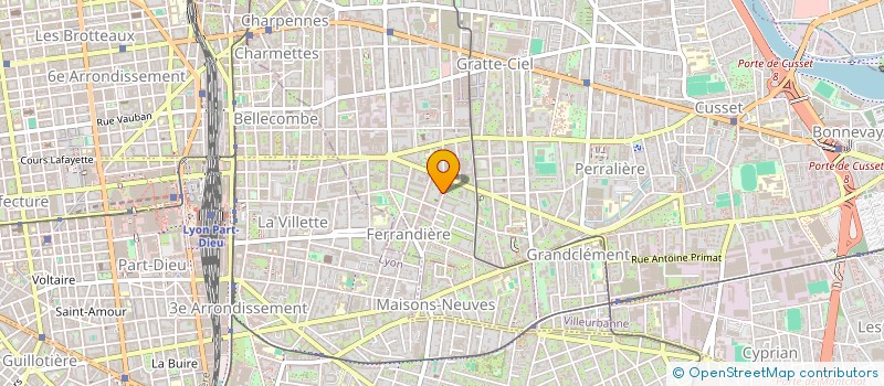 localisation de l'entreprise MONSIEUR MATHIEU SUZANNE  VILLEURBANNE