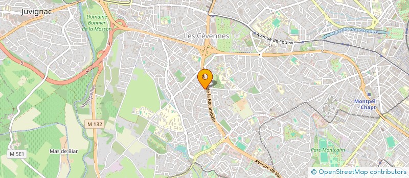 localisation de l'entreprise MONSIEUR MATHIEU THEMELIN à MONTPELLIER