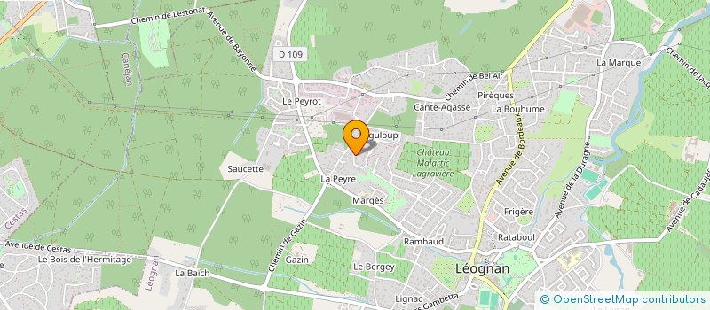 localisation de l'entreprise MONSIEUR MATHIEU VIGNAUD  LEOGNAN