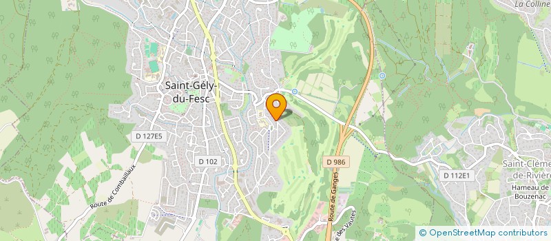 localisation de l'entreprise MONSIEUR MATHIEU VOL  SAINT-GELY-DU-FESC