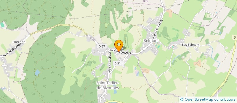 localisation de l'entreprise MONSIEUR MATHIS BERNARD  SAINT-DIDIER-DE-BIZONNES