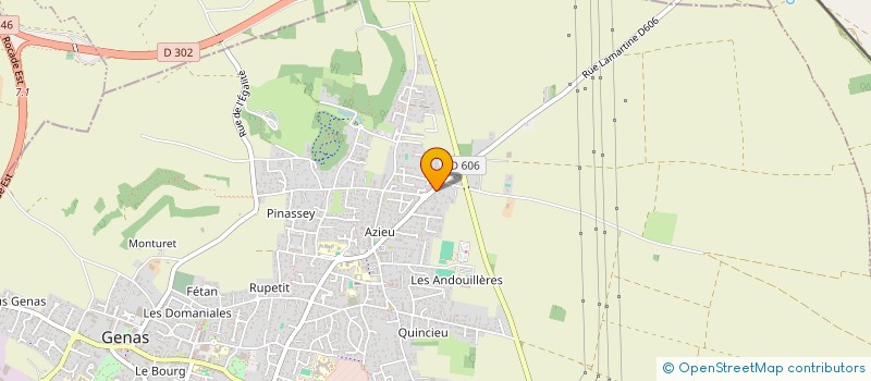 localisation de l'entreprise MONSIEUR MATHIS DURIN  GENAS