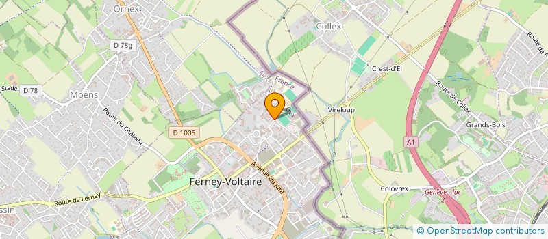 localisation de l'entreprise MONSIEUR MATHIS ETINOF à FERNEY-VOLTAIRE