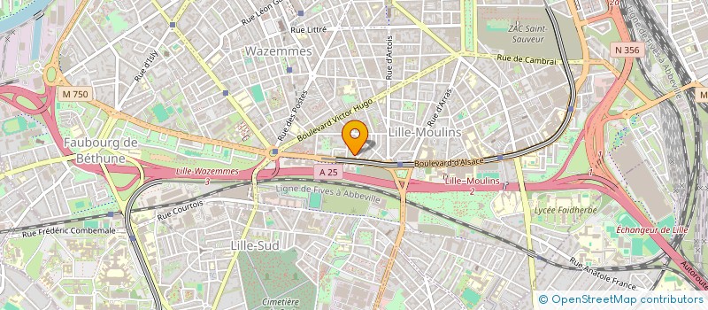 localisation de l'entreprise MONSIEUR MATHIS FREITAS DOS SANTOS à LILLE