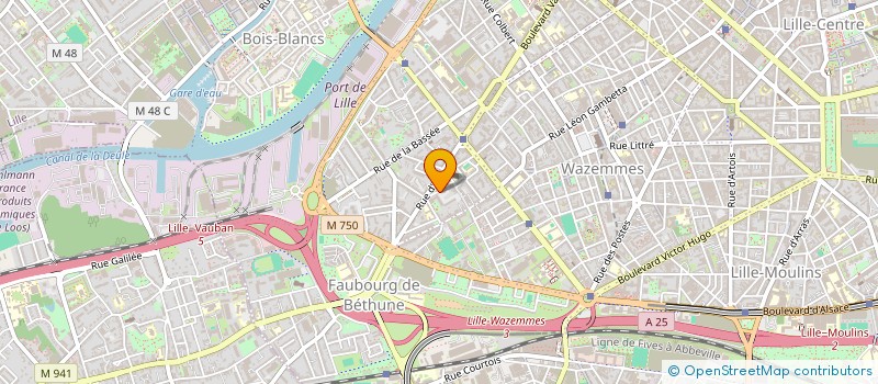 localisation de l'entreprise MONSIEUR MATHIS MARQUES  LILLE