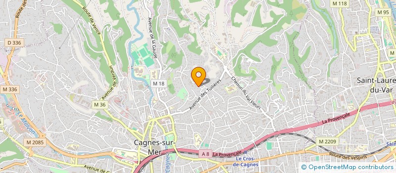 localisation de l'entreprise MONSIEUR MATHIS MATHIEU  CAGNES-SUR-MER