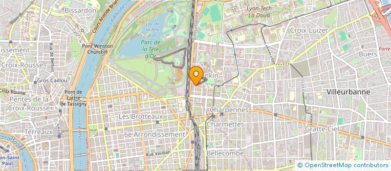 localisation de l'entreprise MONSIEUR MATHIS NALLET  VILLEURBANNE