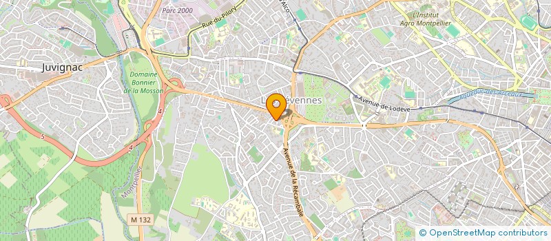 localisation de l'entreprise MONSIEUR MATHIS PUEYO à MONTPELLIER