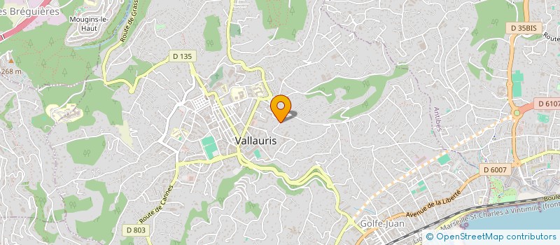 localisation de l'entreprise MONSIEUR MATHIS RIFFAUT à VALLAURIS