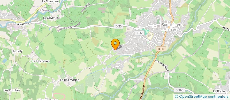 localisation de l'entreprise MONSIEUR MATHIS THIBAUD  SOUCIEU-EN-JARREST