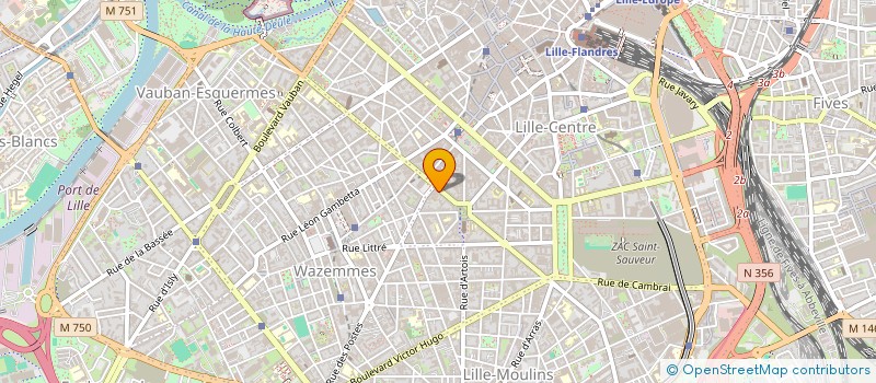 localisation de l'entreprise MONSIEUR MATHYS HOSIN  LILLE