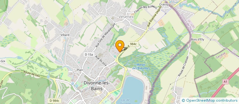 localisation de l'entreprise MONSIEUR MATISSE GOBET  DIVONNE-LES-BAINS