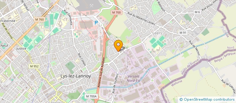 localisation de l'entreprise MONSIEUR MATISSE SELOSSE  LYS-LEZ-LANNOY