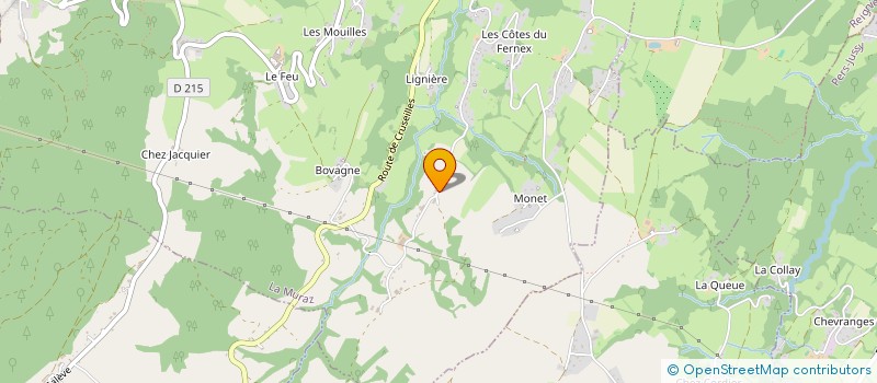 localisation de l'entreprise MONSIEUR MATTEO BOSSON  LA MURAZ