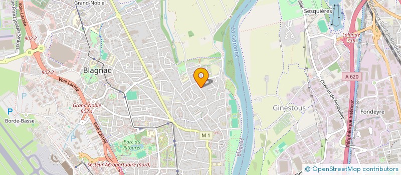 localisation de l'entreprise MONSIEUR MATTEO DELANNOY  BLAGNAC