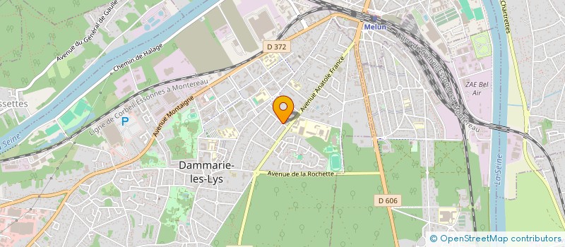 localisation de l'entreprise MONSIEUR MATTEO DELAPORTAS à DAMMARIE-LES-LYS