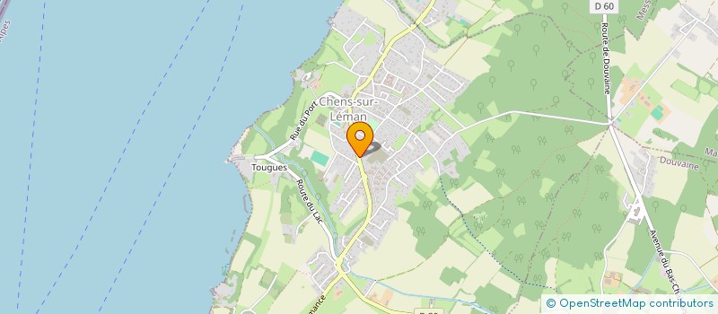 localisation de l'entreprise MONSIEUR MATTEO FOTI  CHENS-SUR-LEMAN