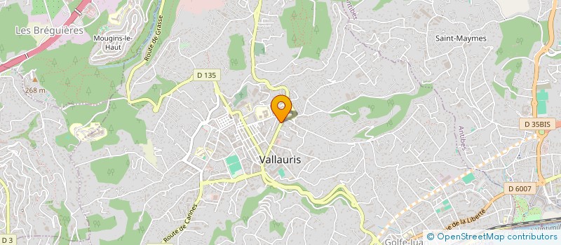 localisation de l'entreprise MONSIEUR MATTEO MESSAOUDENE  VALLAURIS